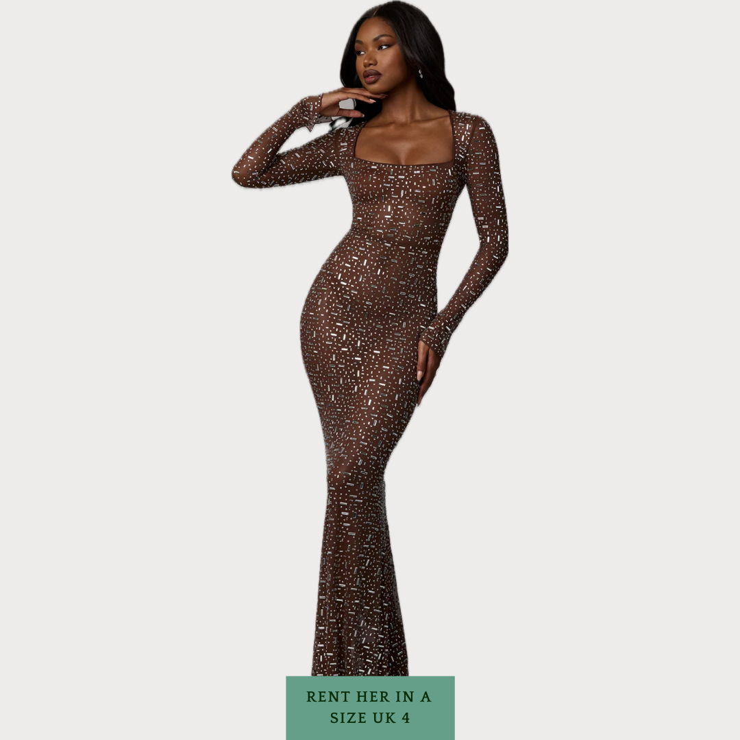 Isabeau Sheer Embellished Long Sleeve Evening Gown in Deep Cocoa