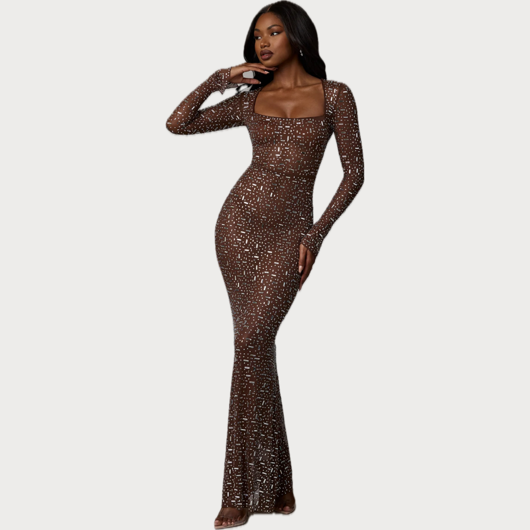 Isabeau Sheer Embellished Long Sleeve Evening Gown in Deep Cocoa